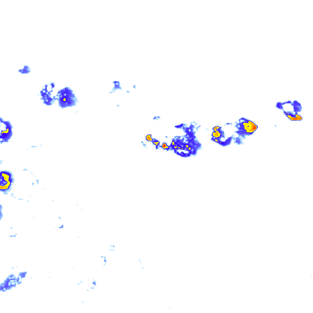 rainLayer