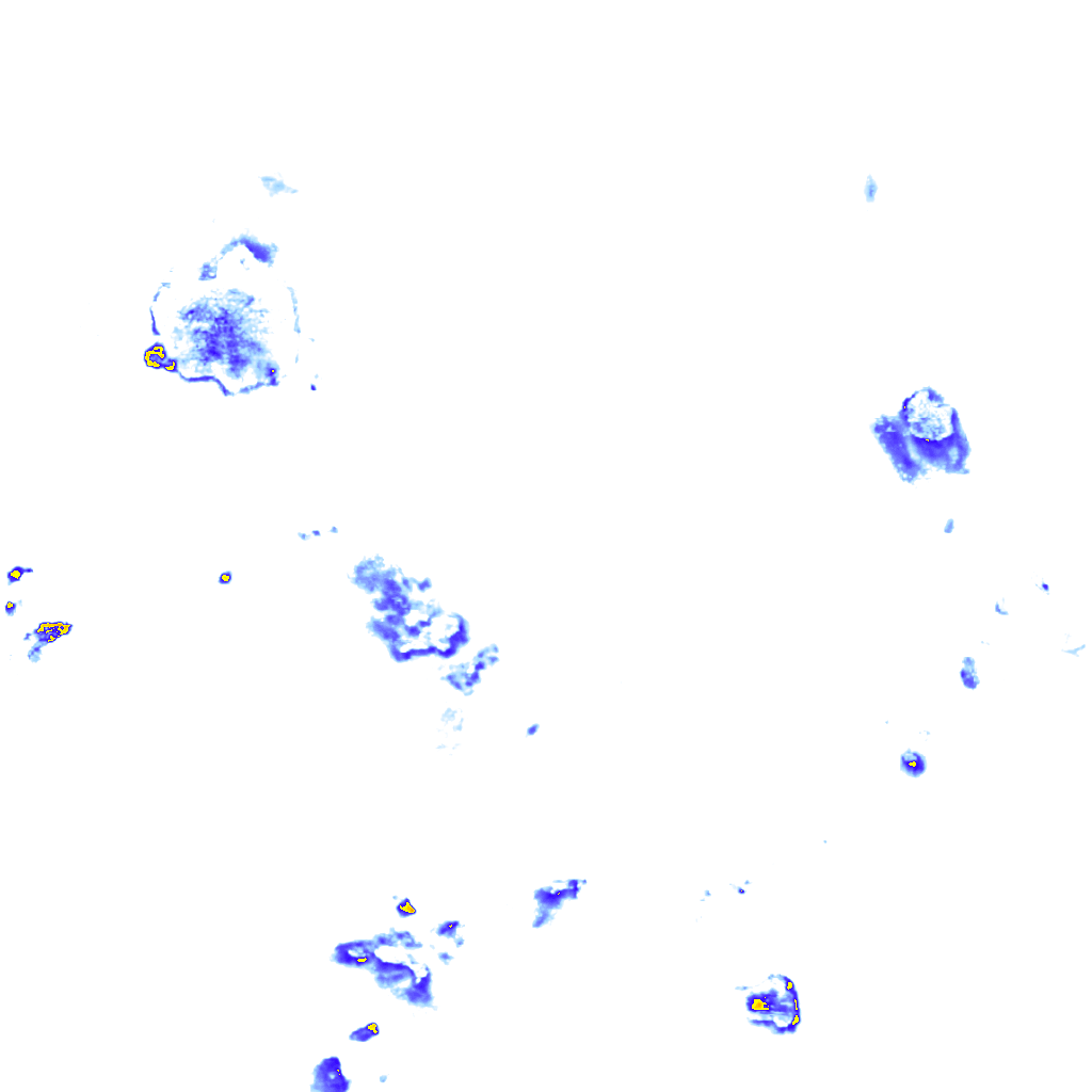 rainLayer