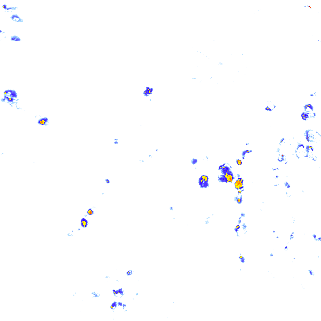 rainLayer