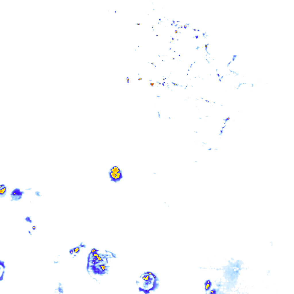 rainLayer