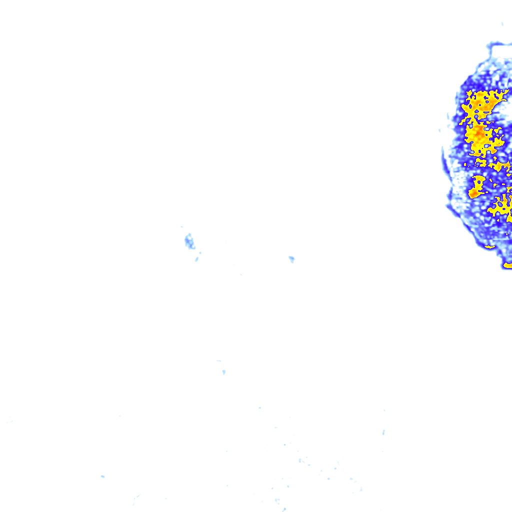 rainLayer