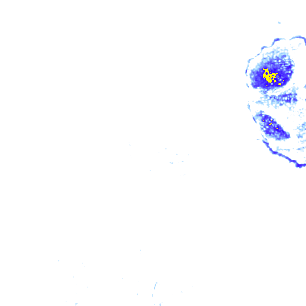 rainLayer