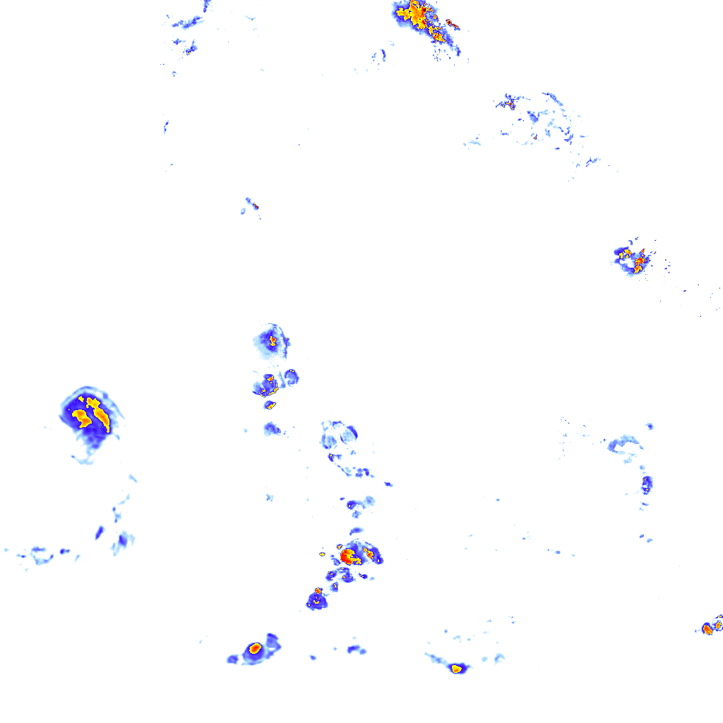 rainLayer