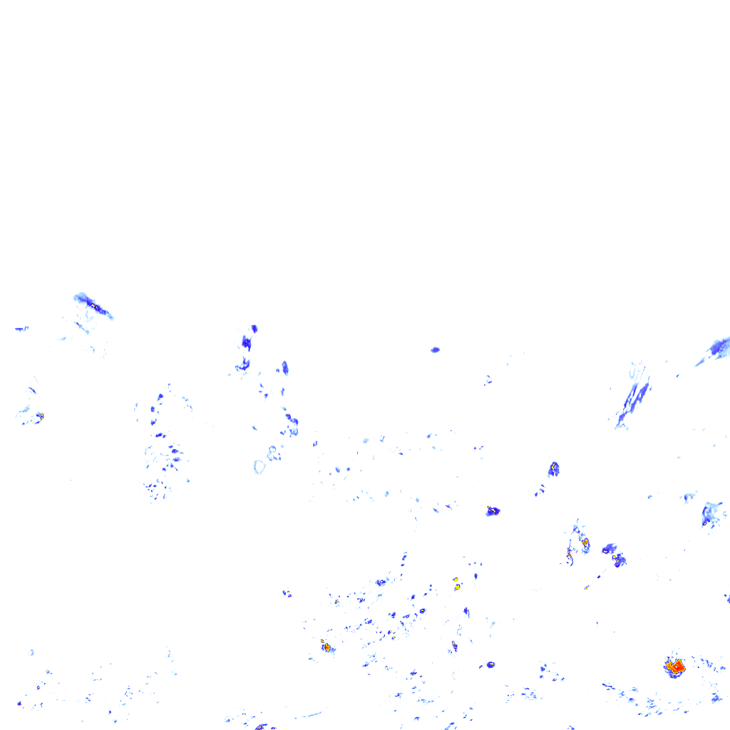 rainLayer