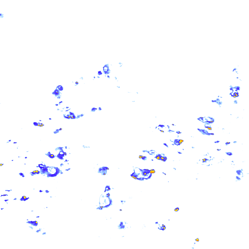 rainLayer