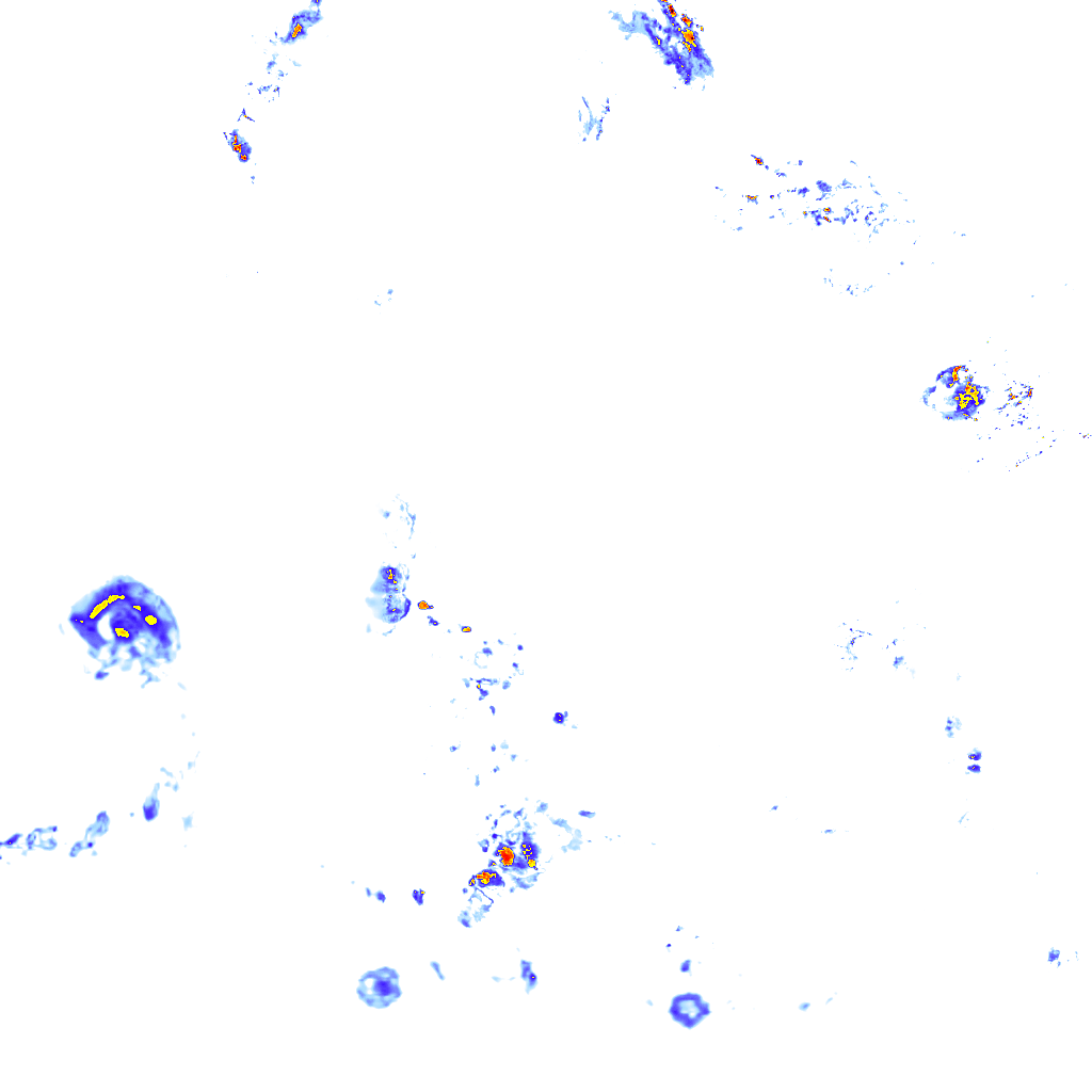 Image Layer