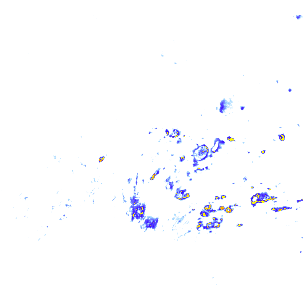 rainLayer