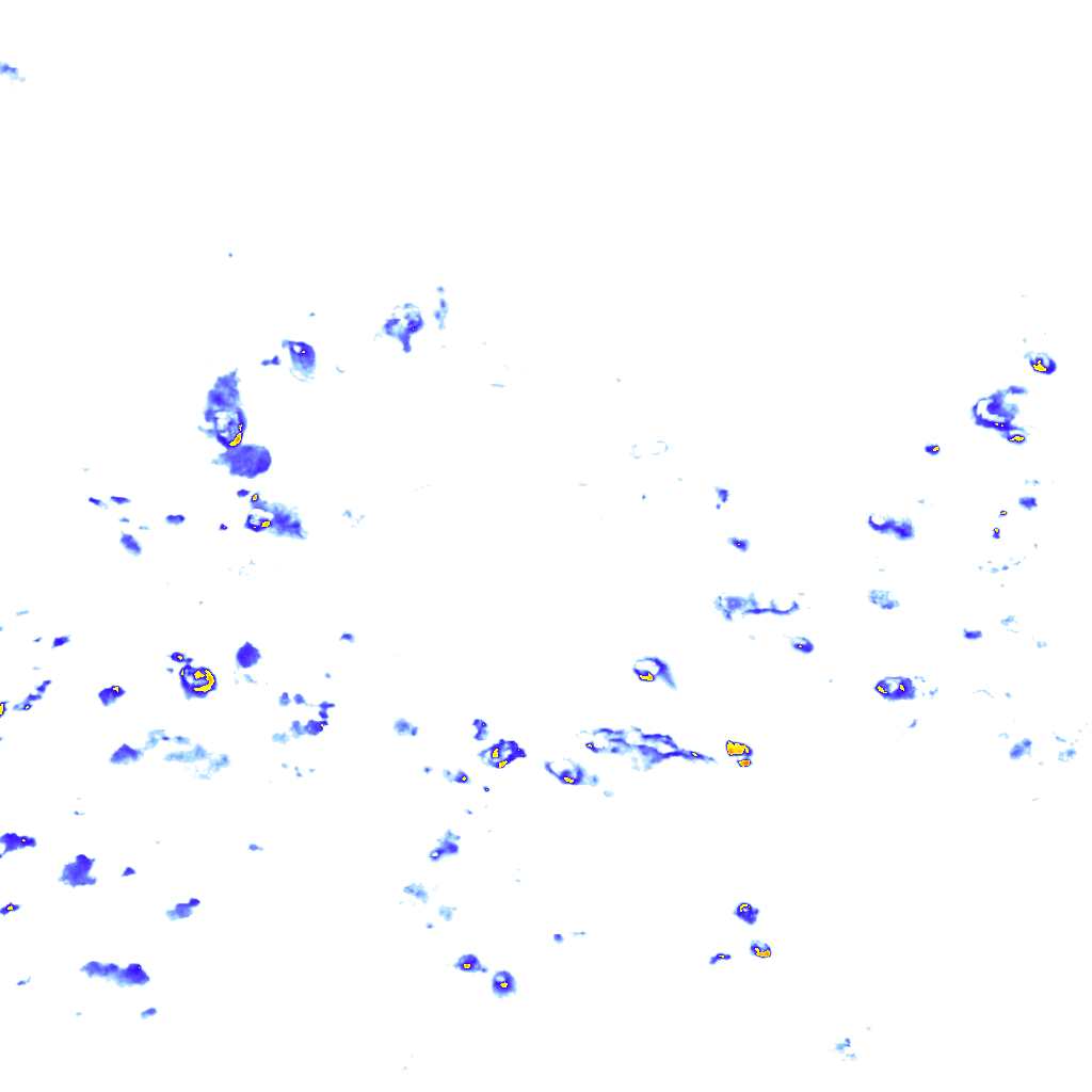 rainLayer