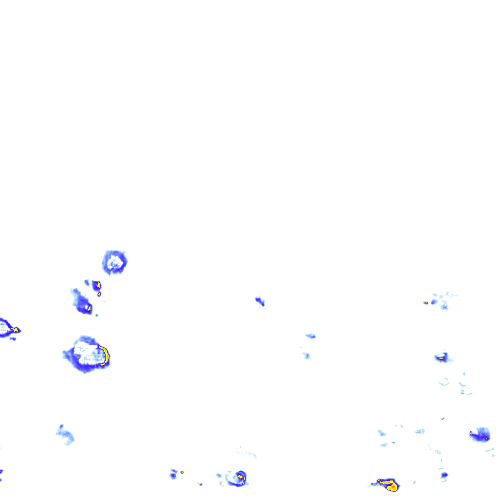 rainLayer