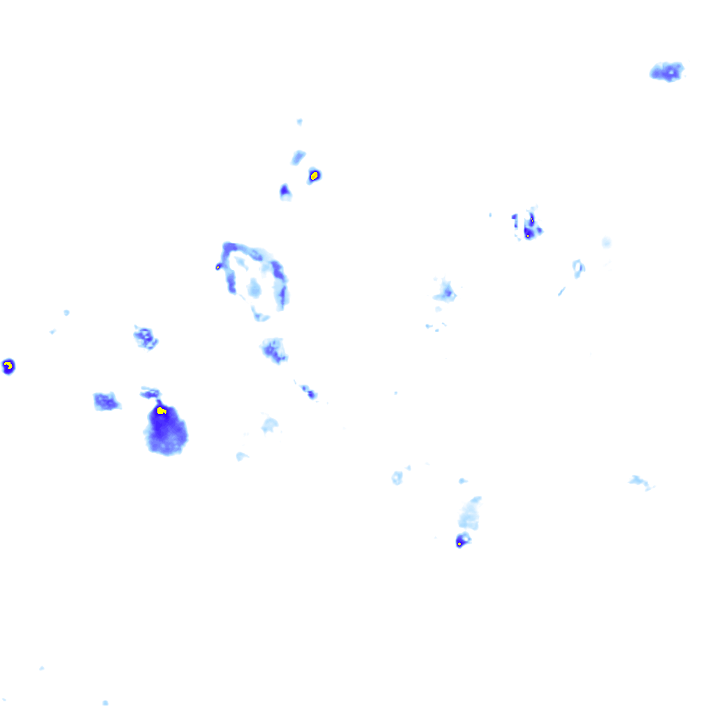 Image Layer