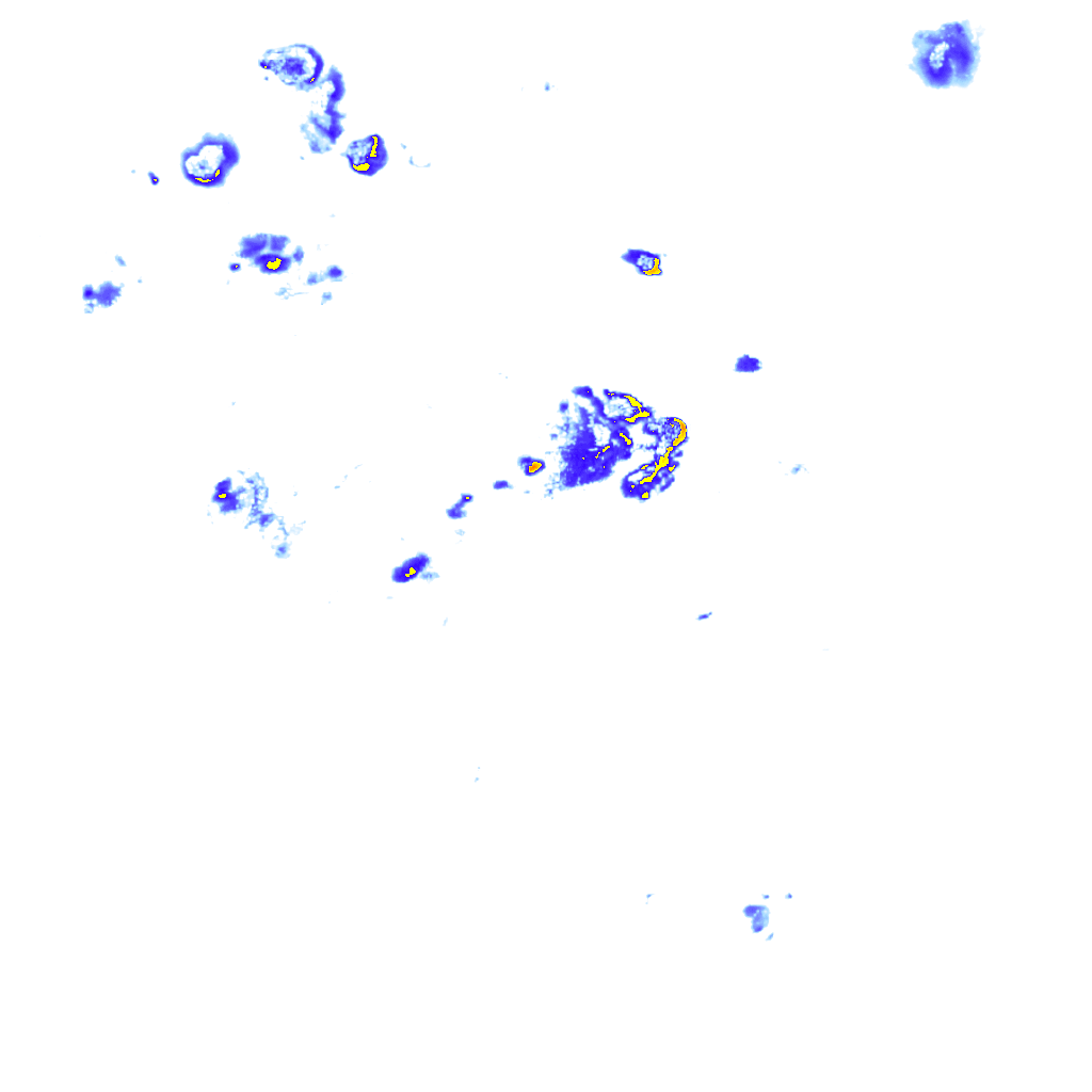 rainLayer