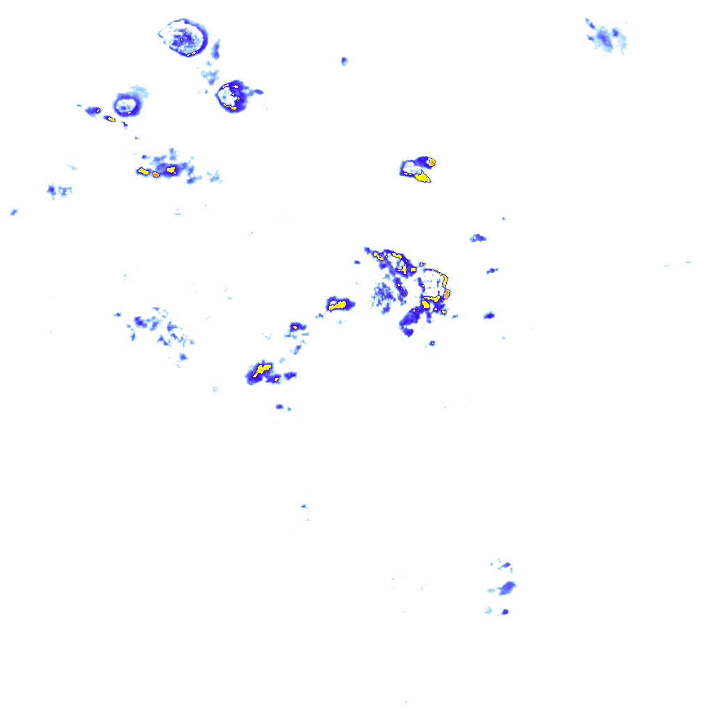 rainLayer