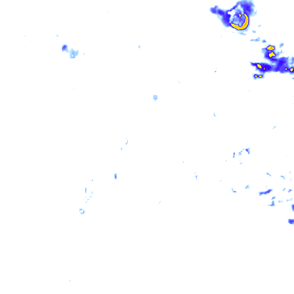 rainLayer