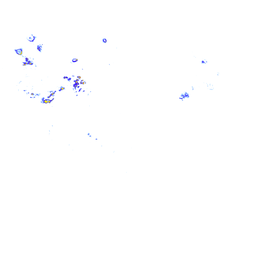 rainLayer