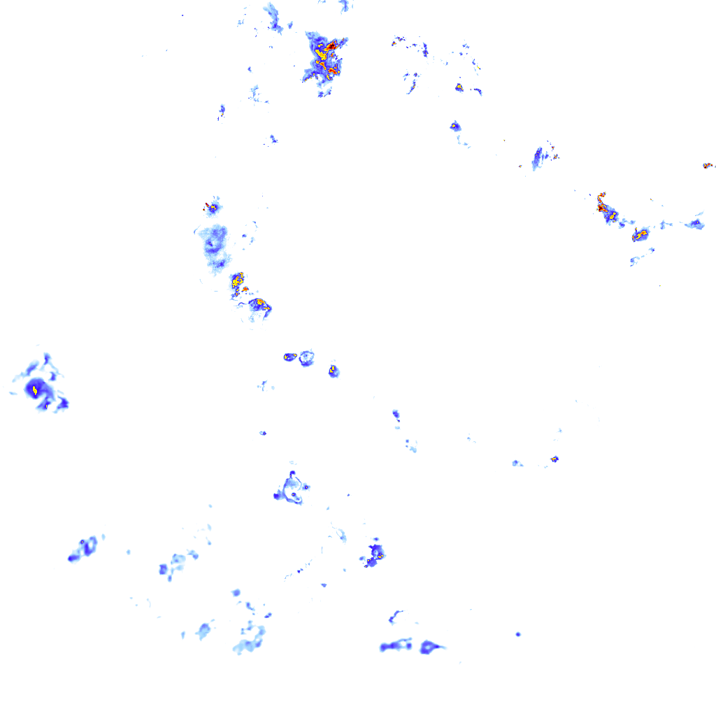 rainLayer
