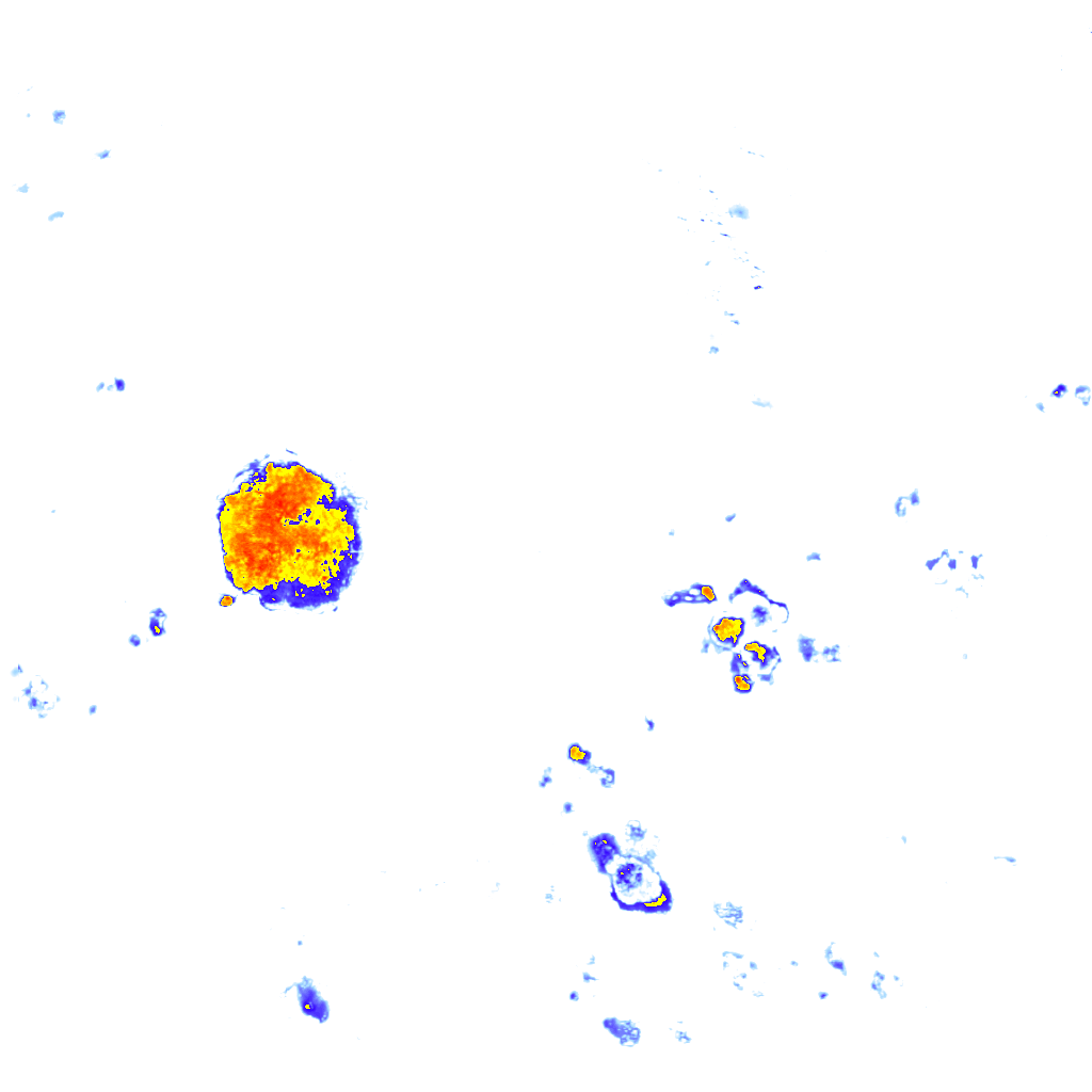 Image Layer