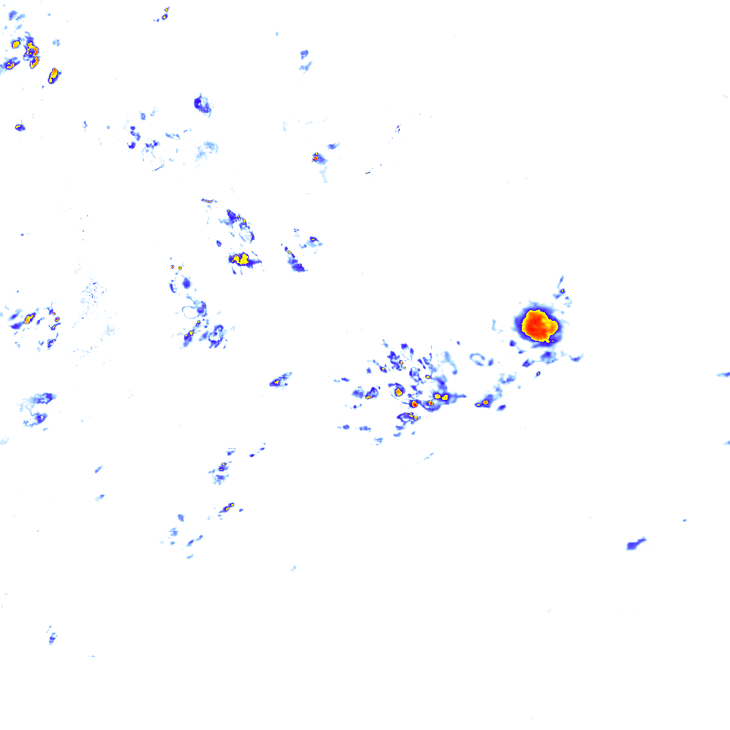 Image Layer
