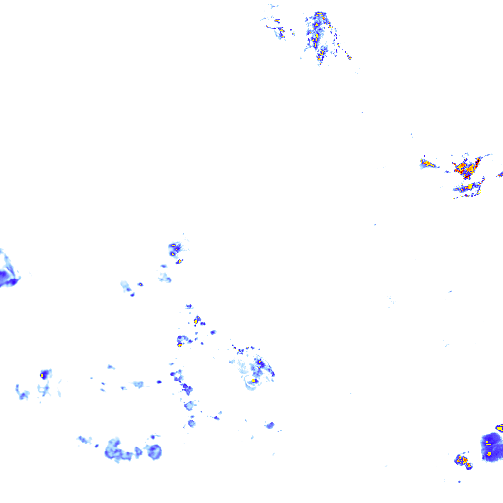 rainLayer