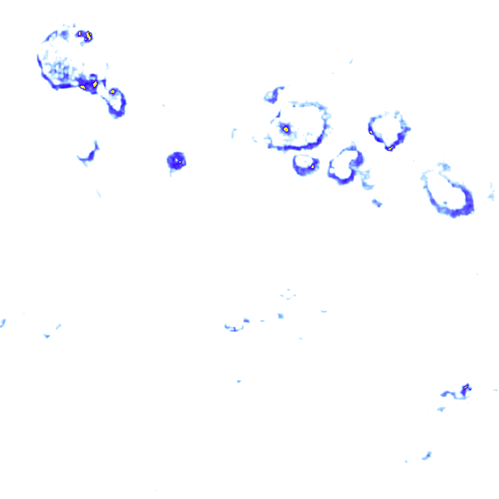 rainLayer