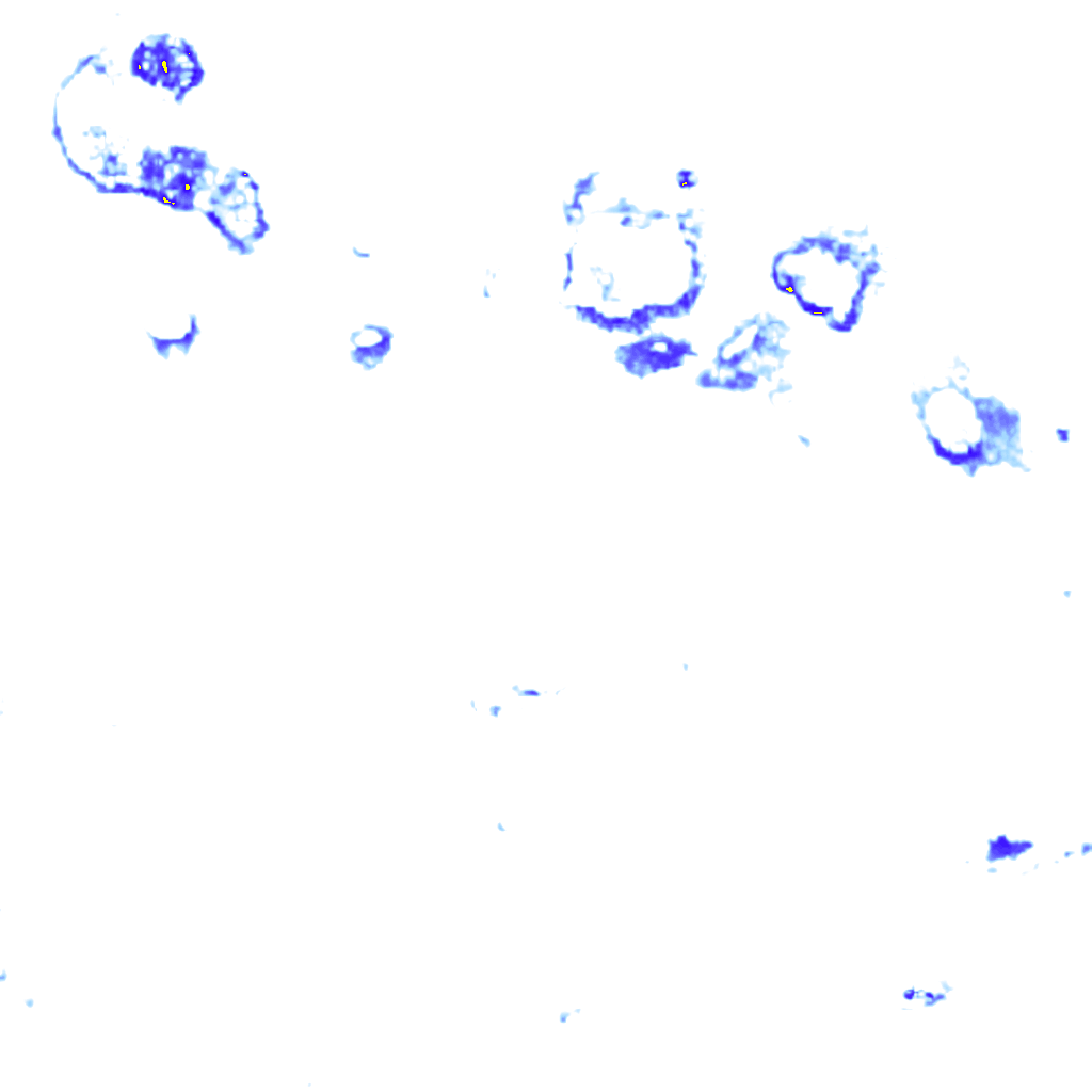 rainLayer