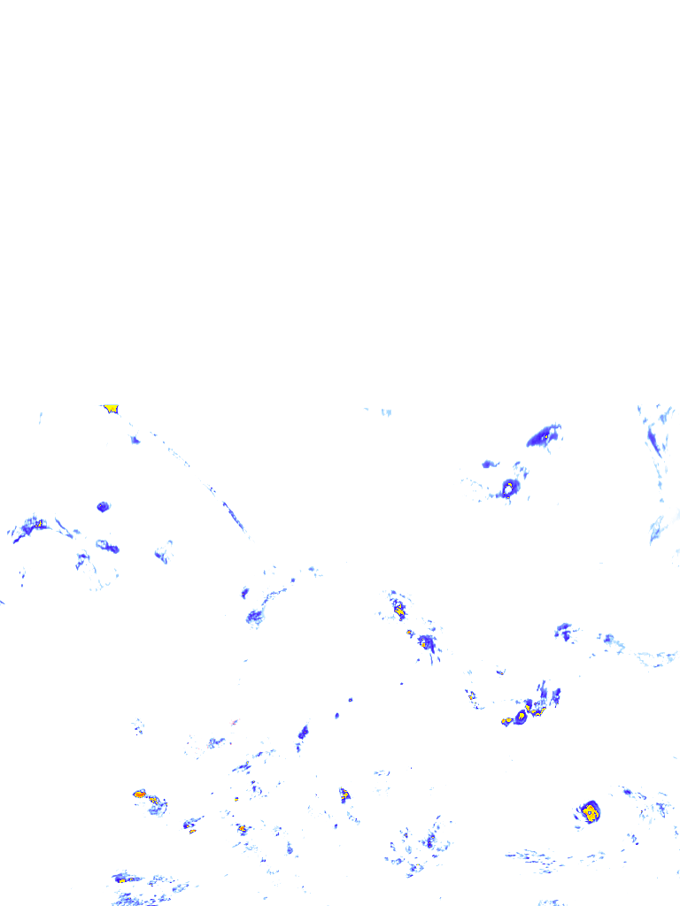 rainLayer
