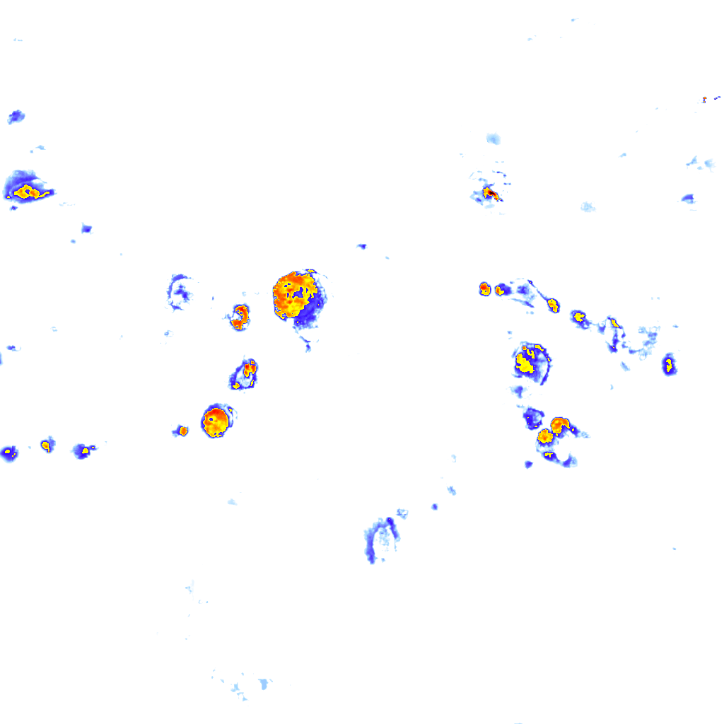 Image Layer