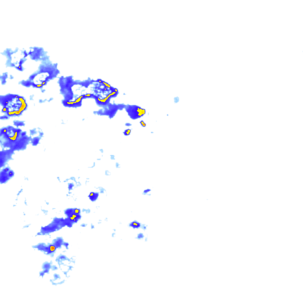 rainLayer