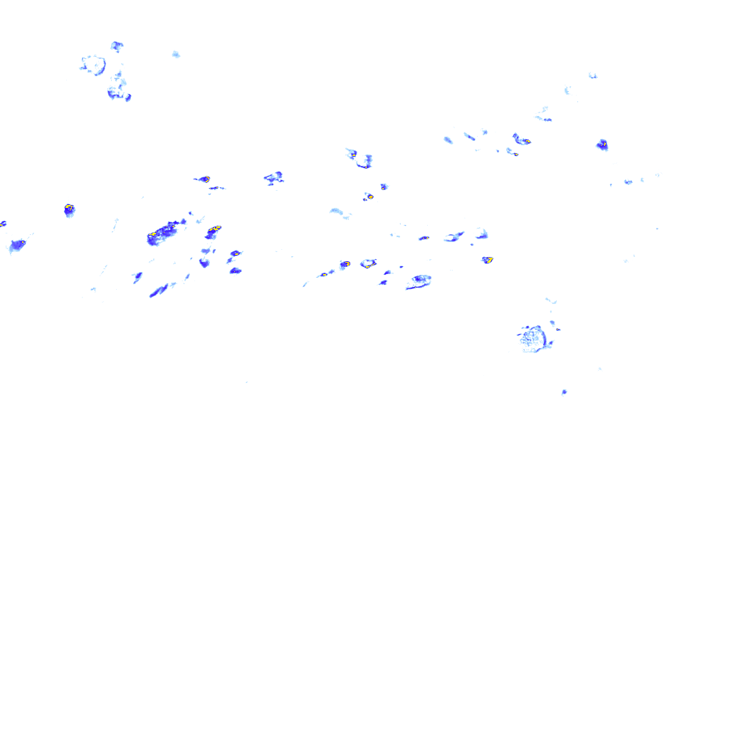 rainLayer