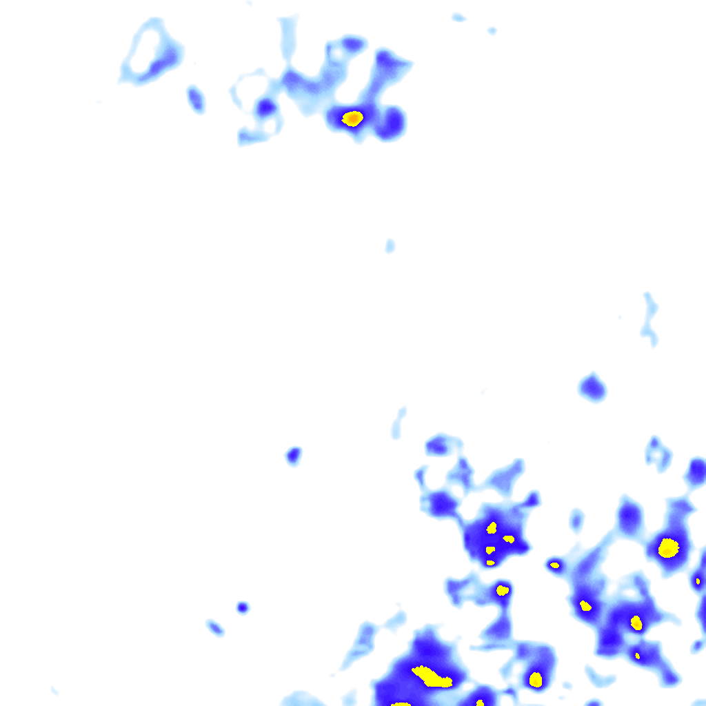 rainLayer