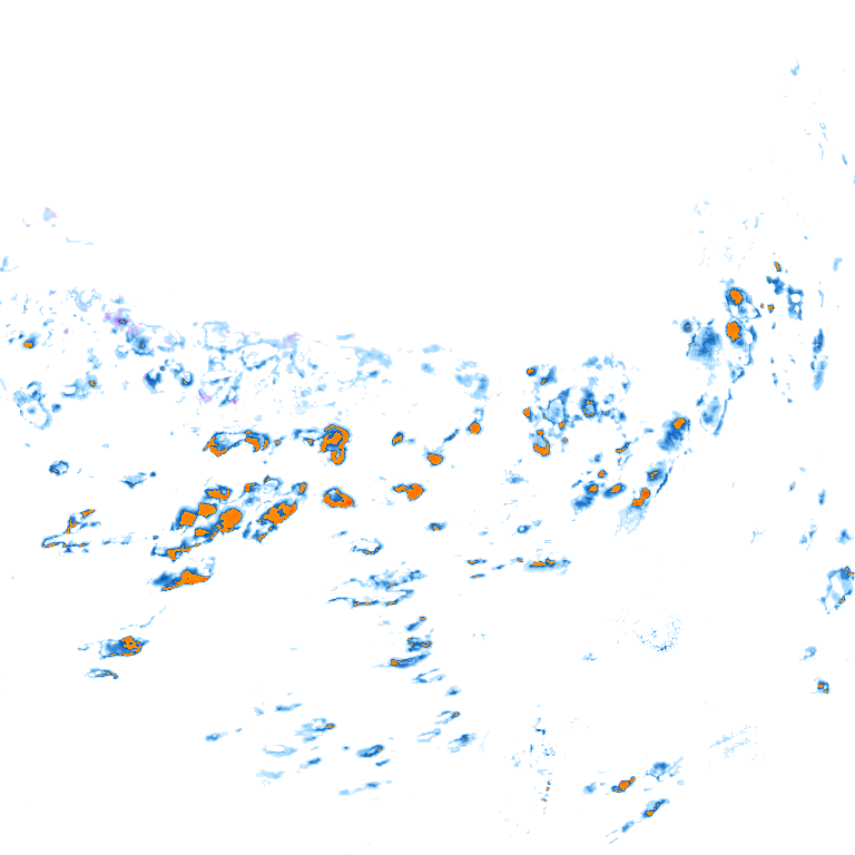 rain layer