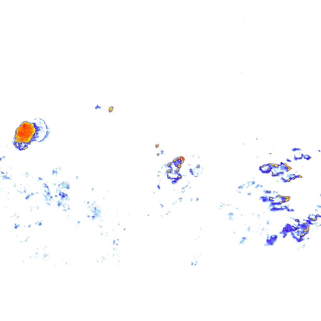 rainLayer