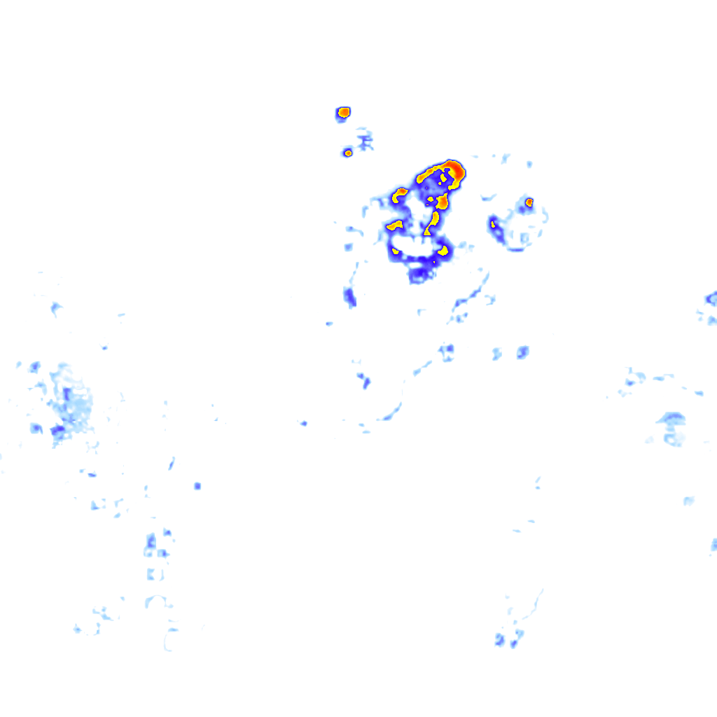 Image Layer