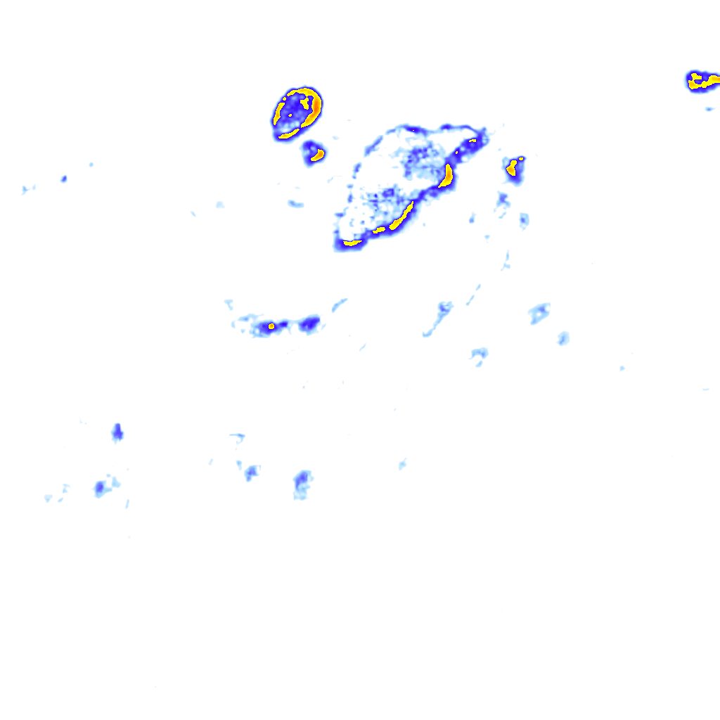 rainLayer