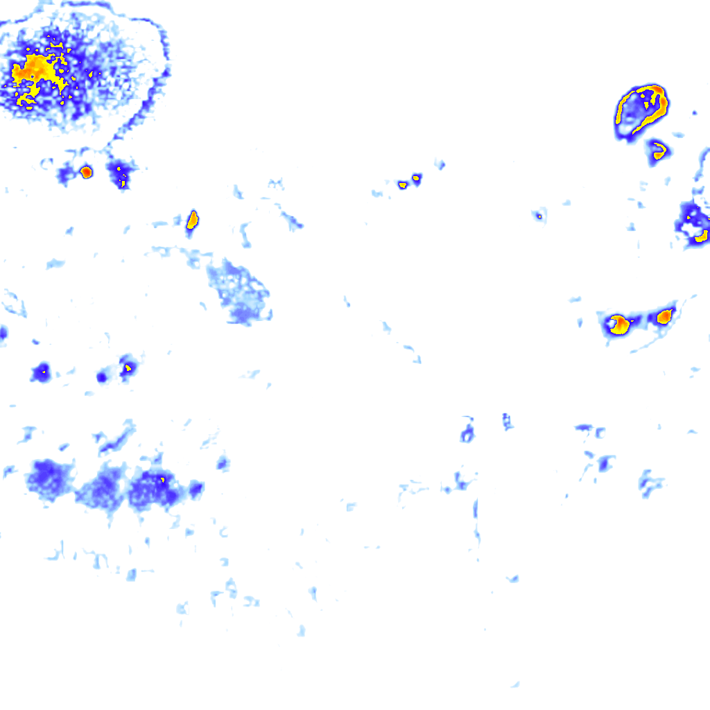Image Layer