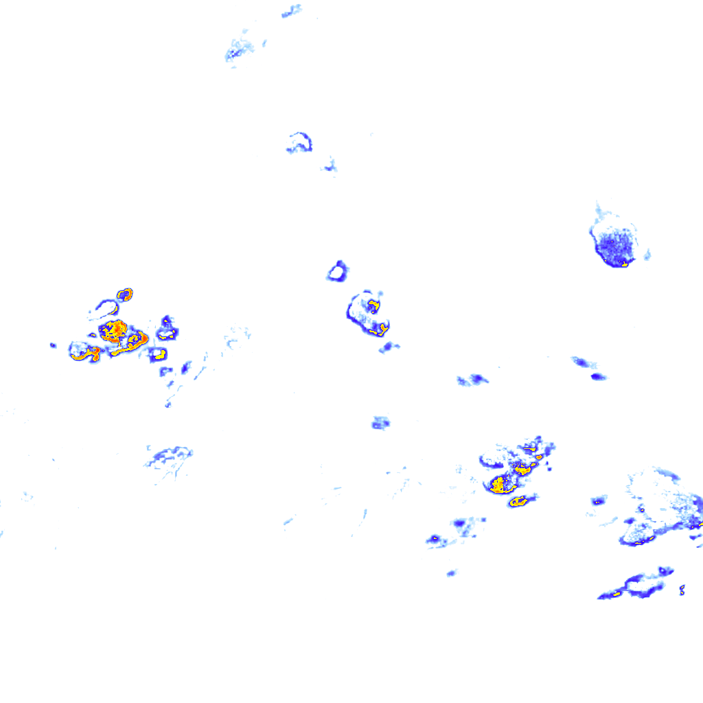 rainLayer