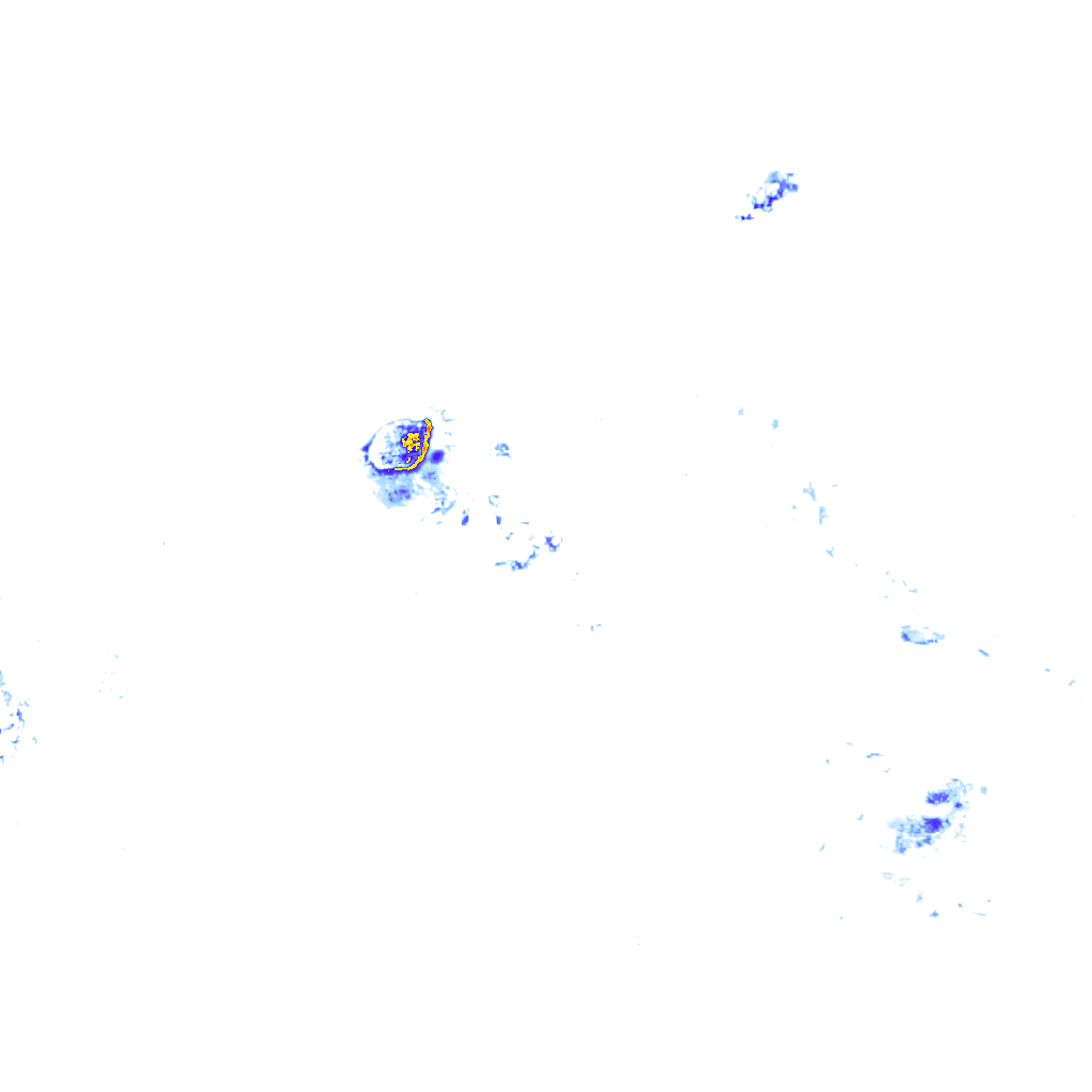 rainLayer