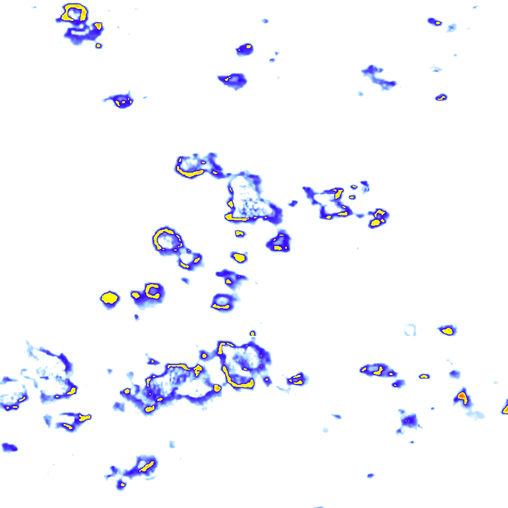 Image Layer
