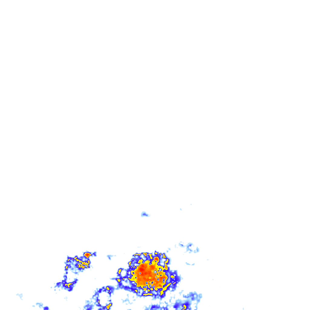 rainLayer