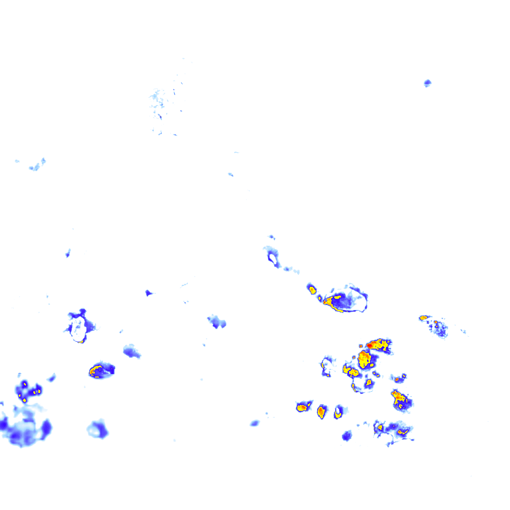 rainLayer