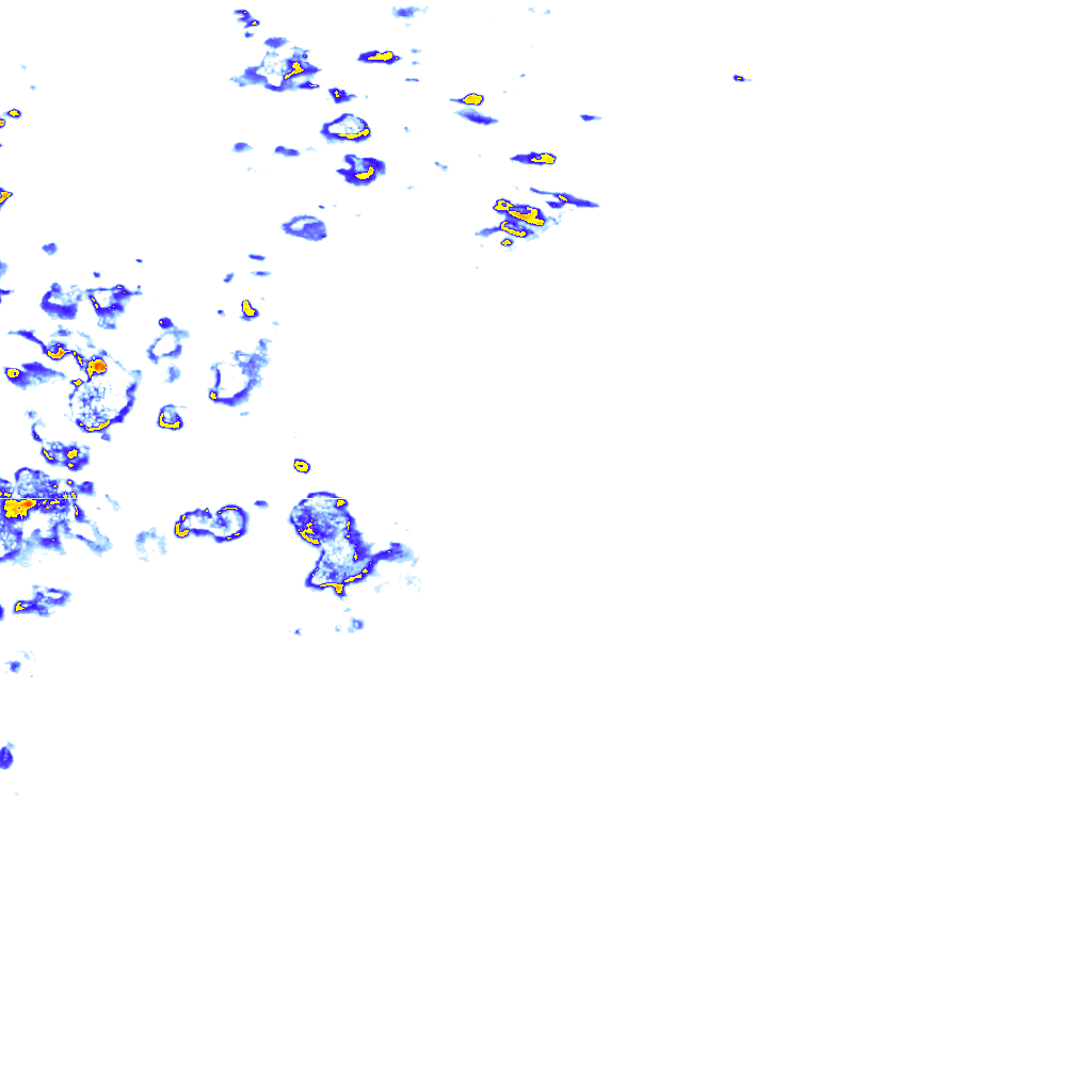 rainLayer