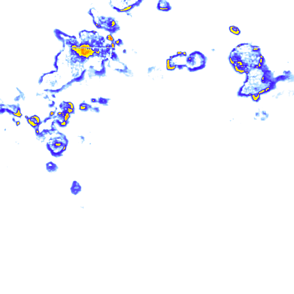 Image Layer