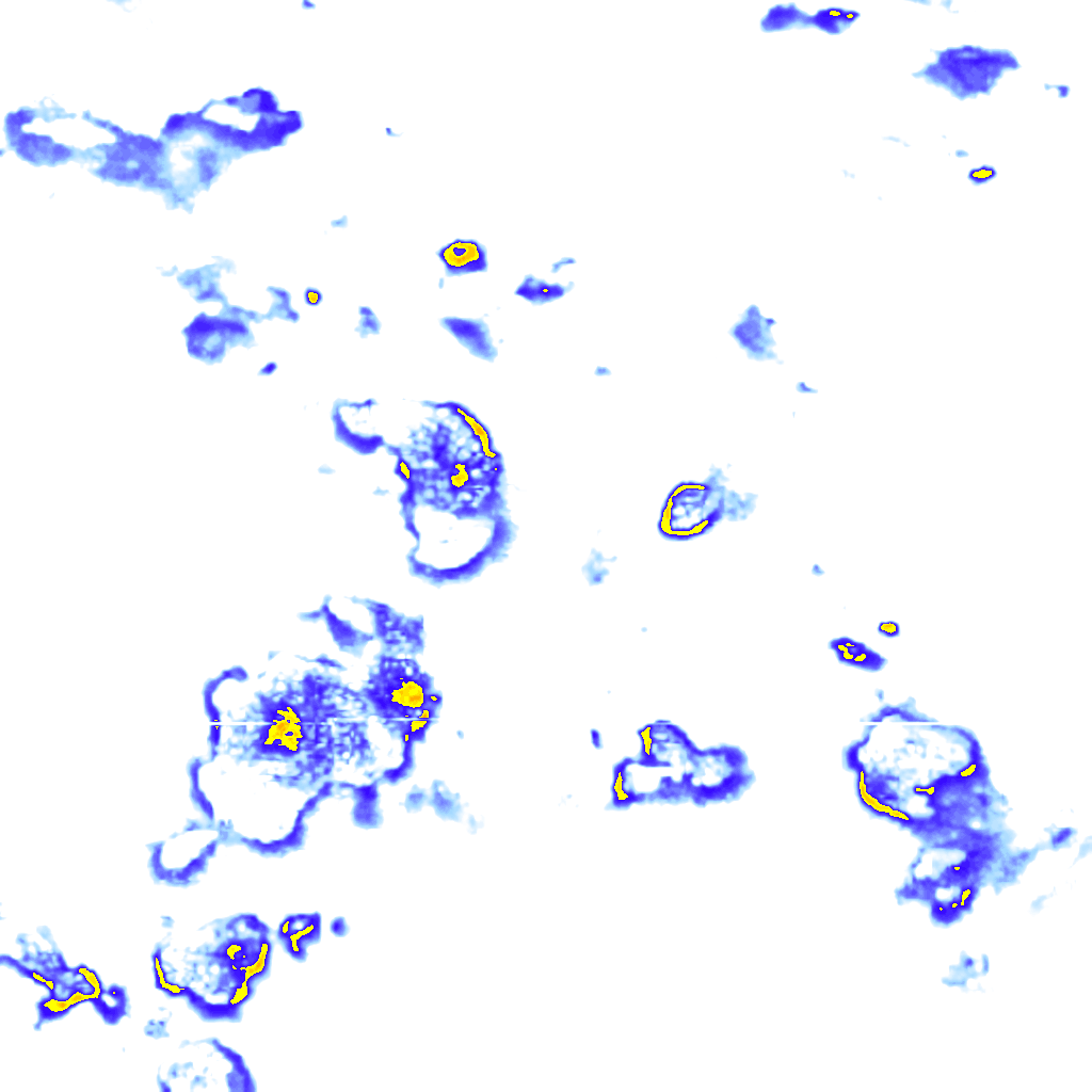 rainLayer