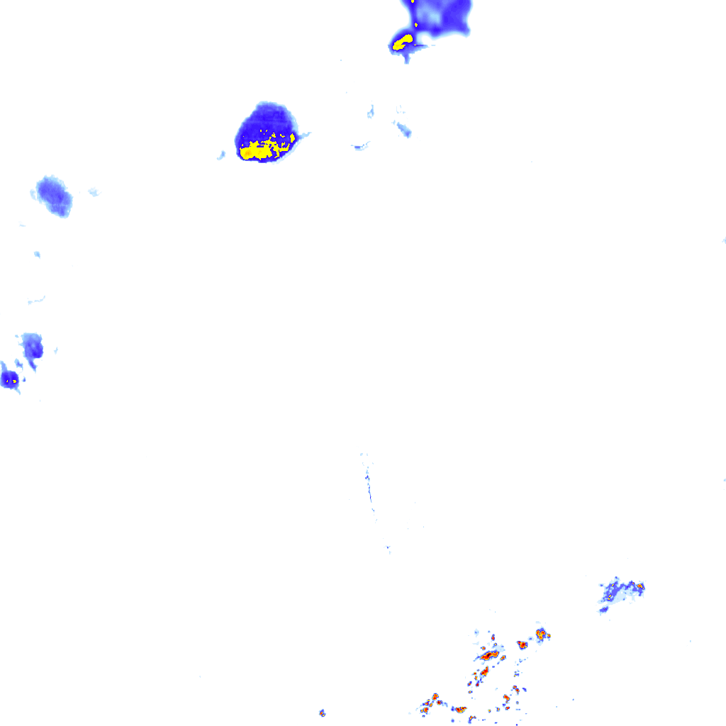 rainLayer