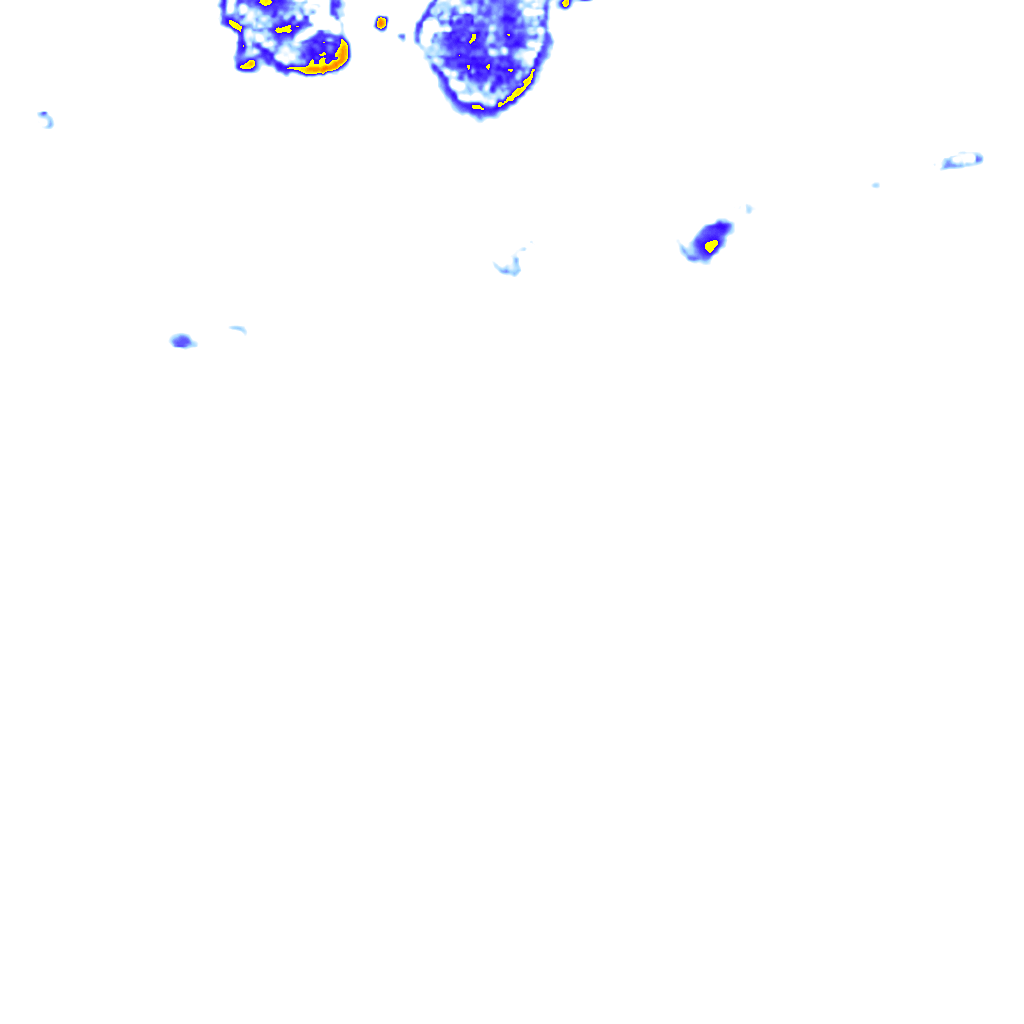 rainLayer