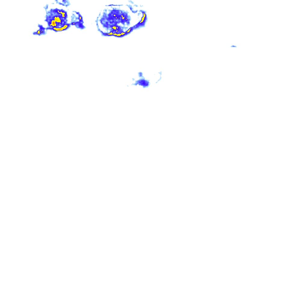 rainLayer