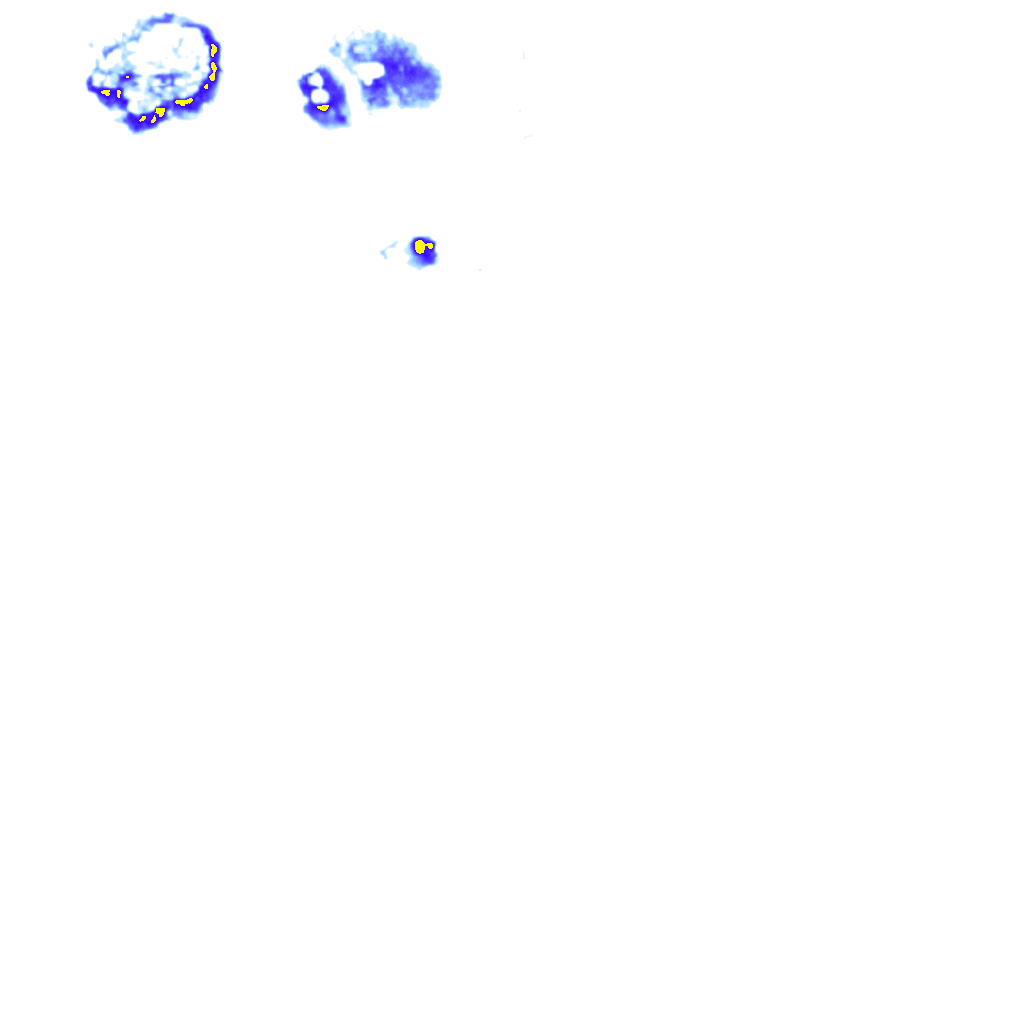 rainLayer