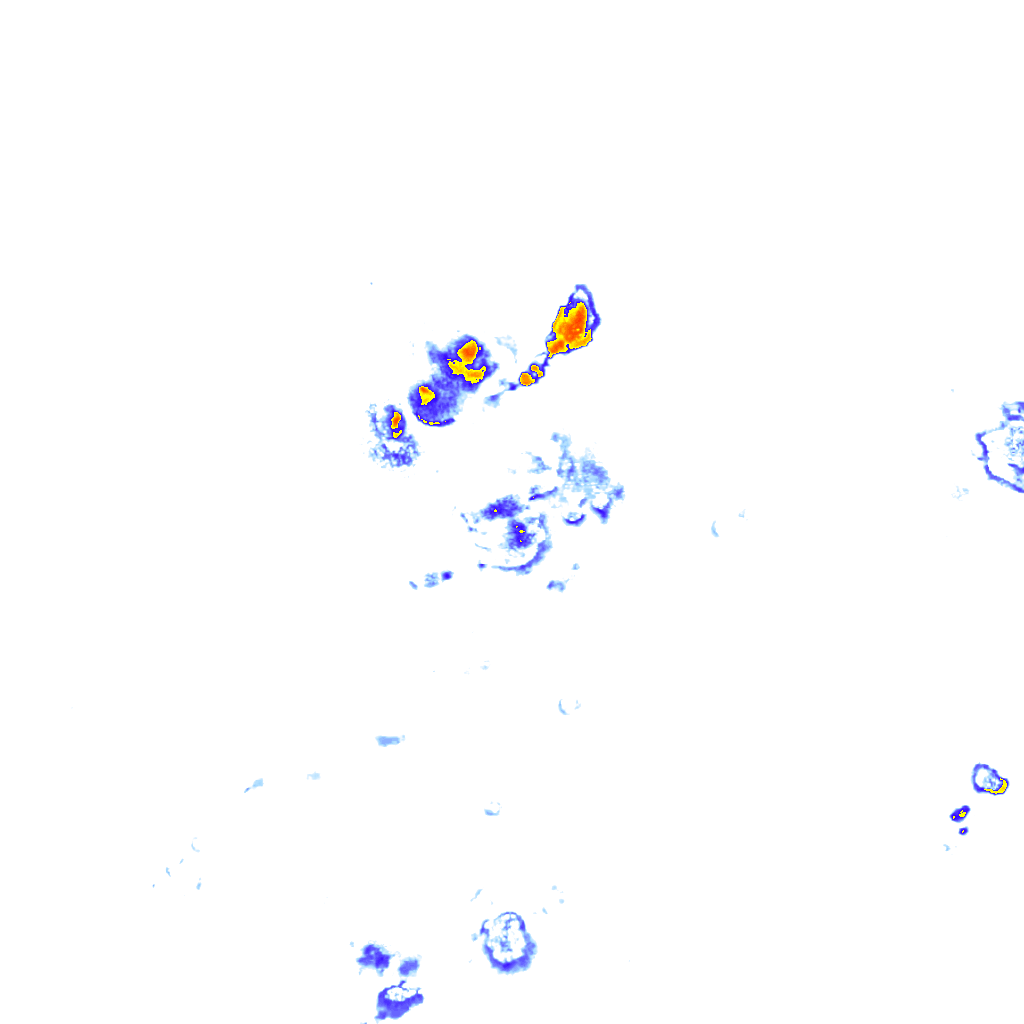 rainLayer