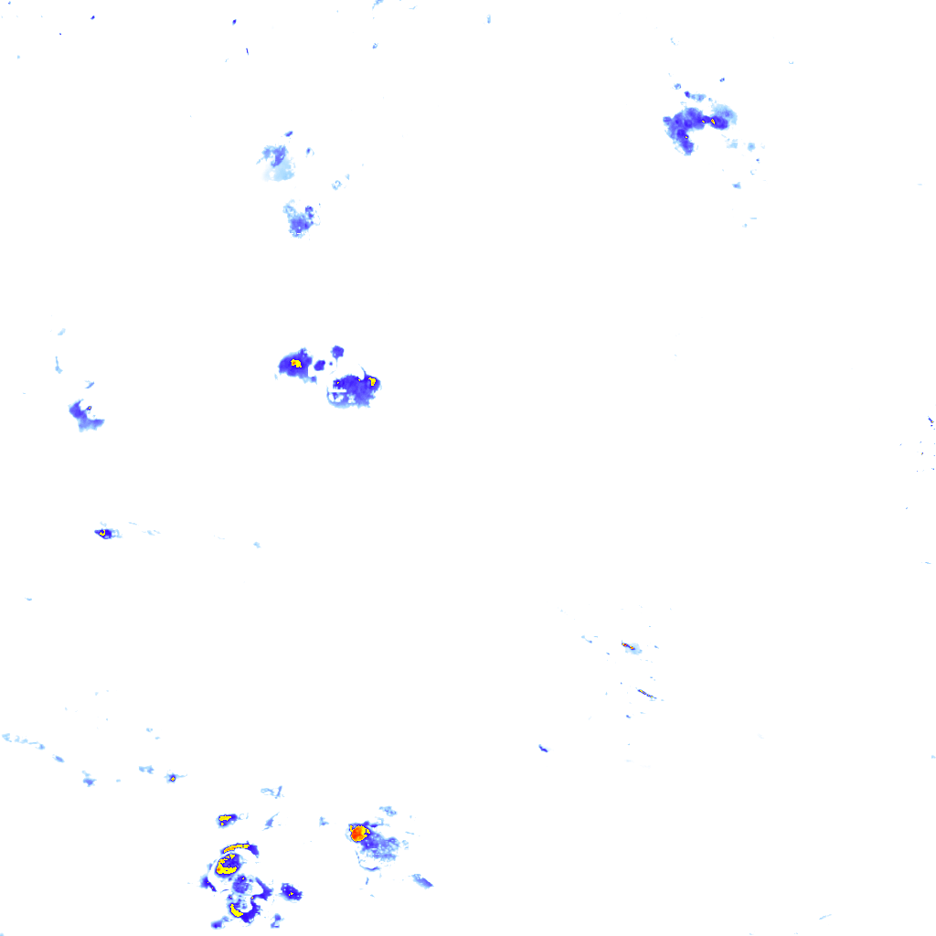 rainLayer