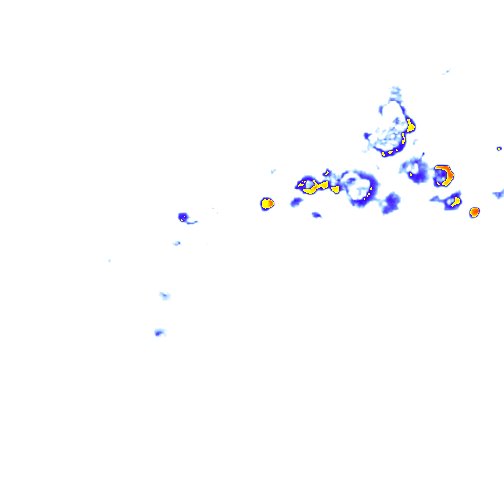 rainLayer