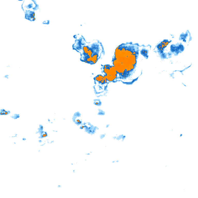 rain layer